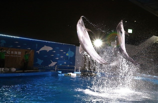 仙台うみの杜水族館のナイトイベント「シートピア」イルカ×ダンス×映像 ...