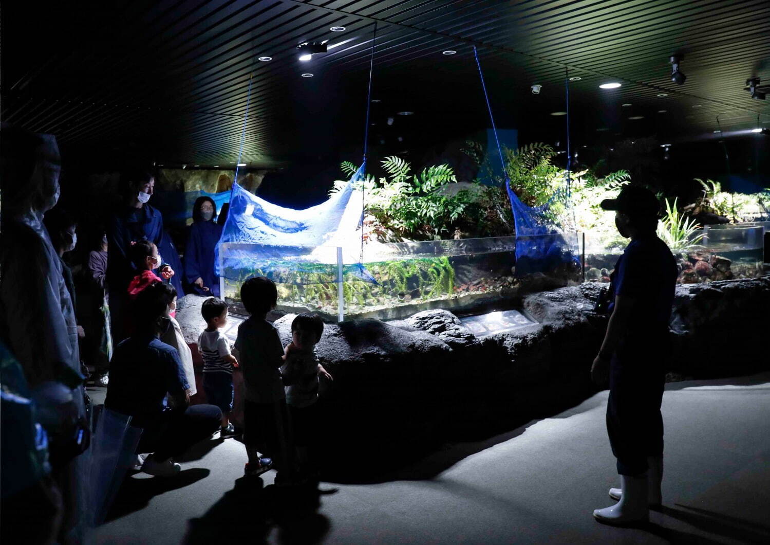 鴨川シーワールドの夏イベント、イルカ＆シャチのパフォーマンスショーや夜の水族館巡り｜写真4