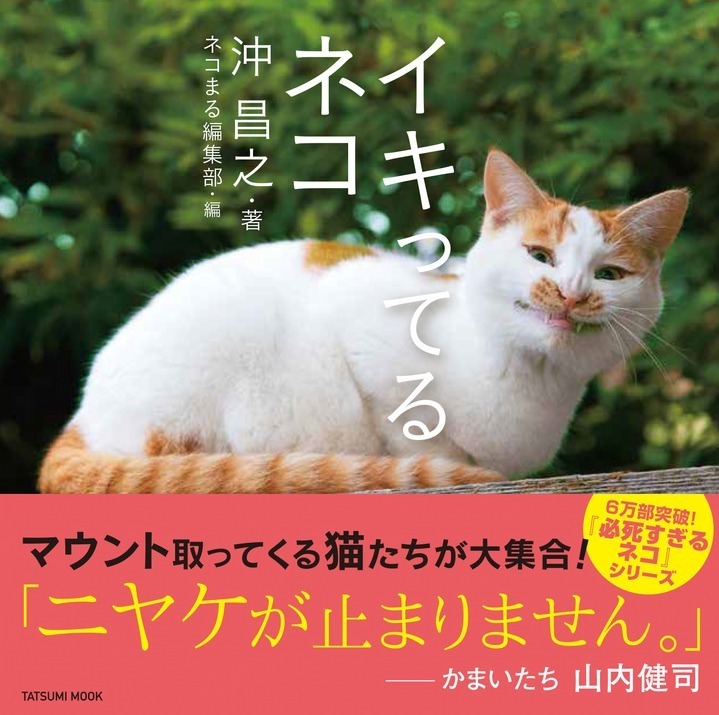 ​“上から目線”や“喧嘩ごし”のイキった猫が集結！猫写真集​『イキってるネコ』​写真家・沖昌之​著者｜写真1