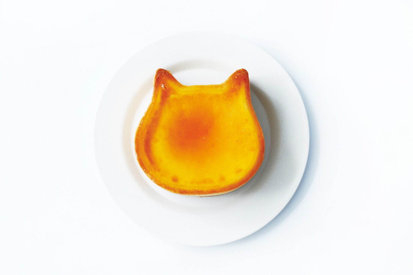 パステル“猫型チーズケーキ”のせ「にゃんチープリン」ねこねこチーズ