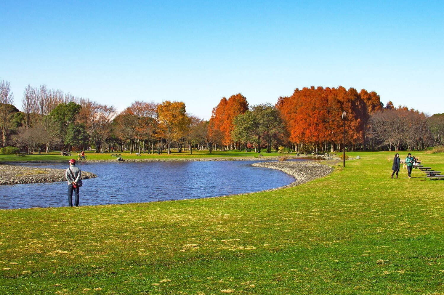 東京都内の大型公園一覧、デートやピクニックにおすすめな人気＆穴場公園を一挙紹介｜写真8