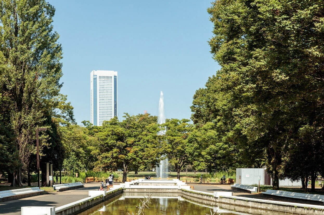 東京都内の大型公園一覧、デートやピクニックにおすすめな人気＆穴場公園を一挙紹介｜写真2