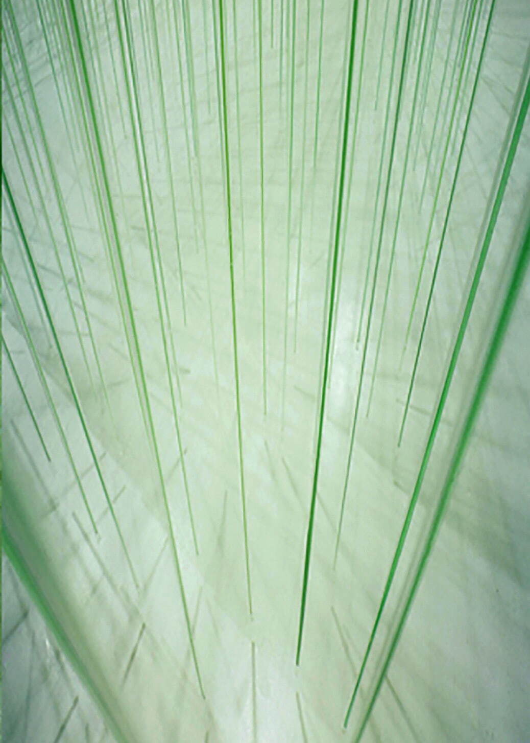 <i width="1038" height="1454">green</i>, 1999, Plastic tube, plastic stick, water, Dimensions variable