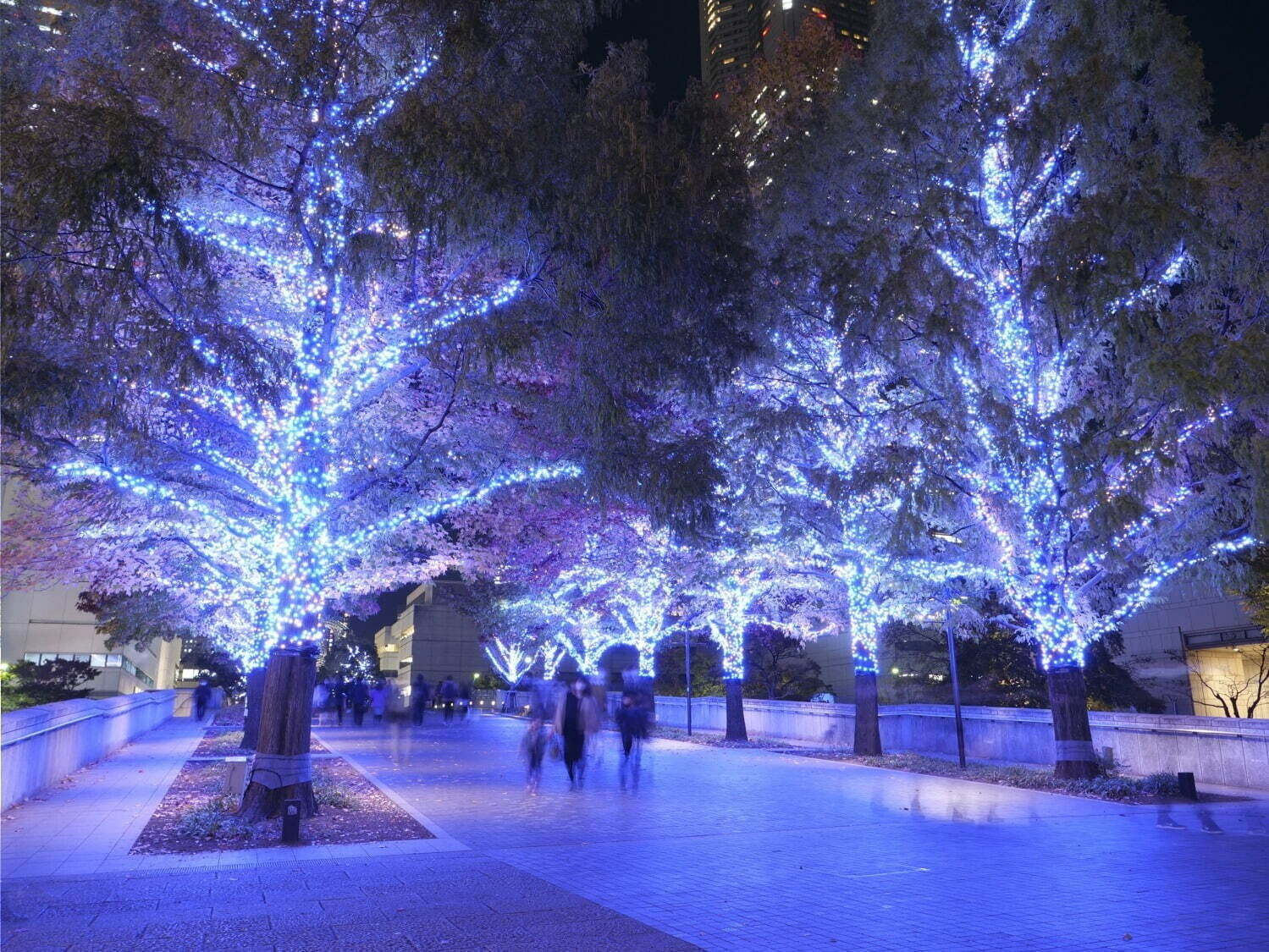 東京都内 関東のイルミネーション21 クリスマスや冬デートにおすすめ遊園地や有名スポットを特集 ファッションプレス