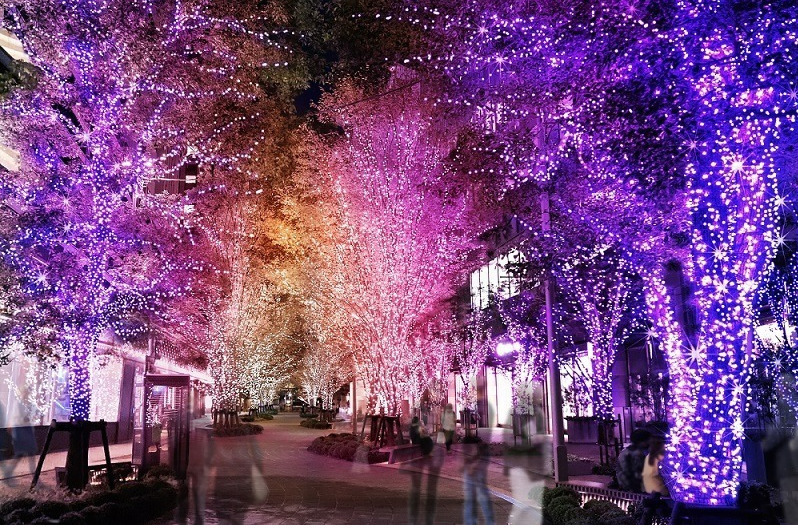 大阪 梅田スカイビルのイルミネーション もみの木を使ったクリスマスツリー 幻想的な光が灯る森 ファッションプレス