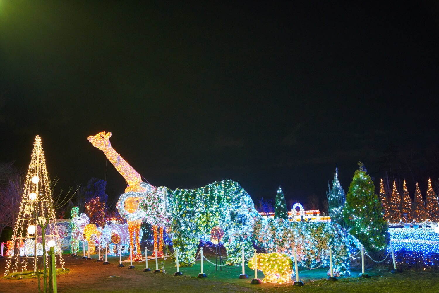 東武動物公園のイルミネーション2021、約300万球の光で埋める広大な敷地＆光と音の共演ショー｜写真5