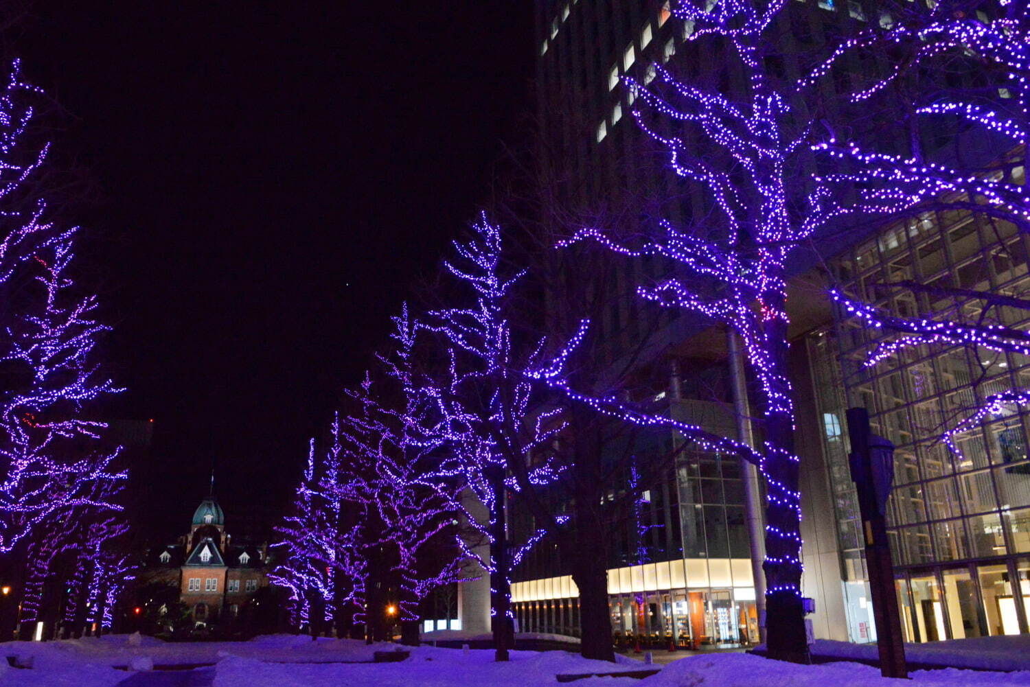 「さっぽろホワイトイルミネーション」札幌市内を光で包み込む冬イベント、クリスマスツリー＆オブジェなど｜写真24