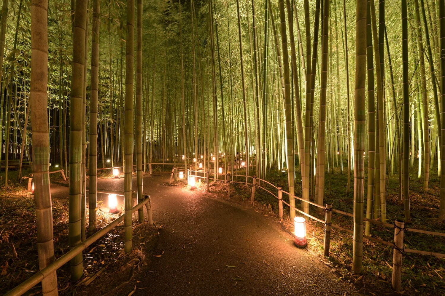 京都 嵐山花灯路 21 最後の開催 渡月橋や竹林の小径のライトアップ ファッションプレス