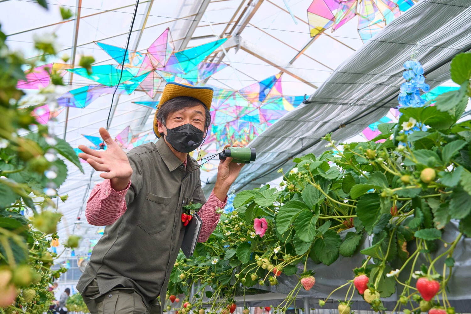 京成バラ園の新いちご狩り施設、“オズの魔法使い”着想の温室で採れたて苺をドリンクと共に｜写真7