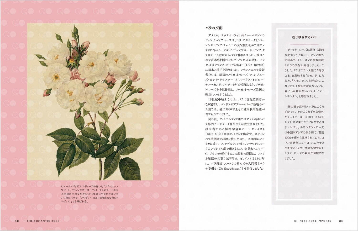 “貴重なバラ辞典”『バラの物語 いにしえから続く花の女王の運命』絵画や歴史から、バラの魅力を紹介｜写真8