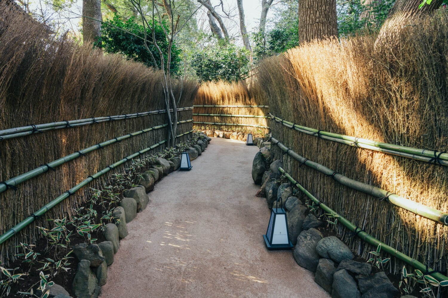 ホテル椿山荘東京「椿絵巻〜東京椿インスタレーション・アート〜」椿の花が彩る絶景を堪能｜写真8