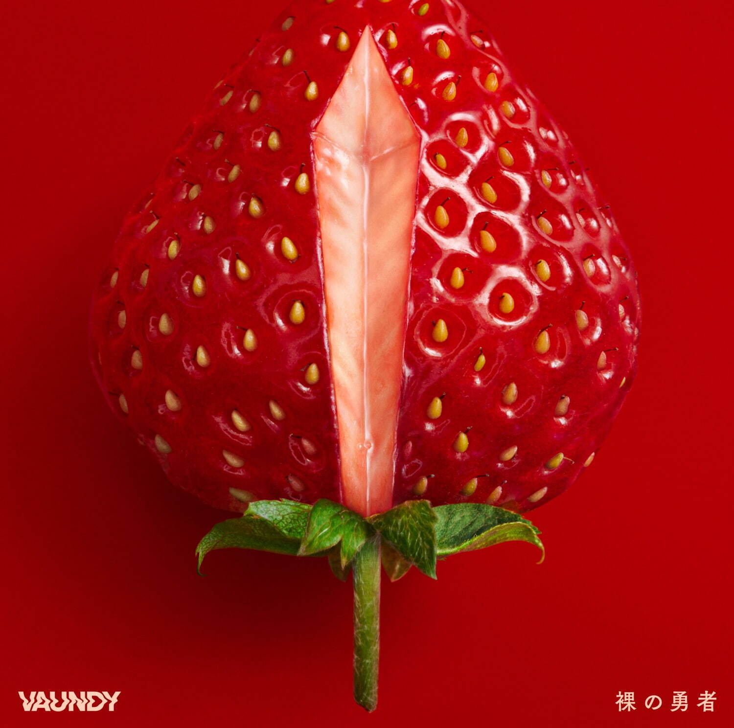 Vaundy 最新EP『裸の勇者』通常盤[CD] 1,430円