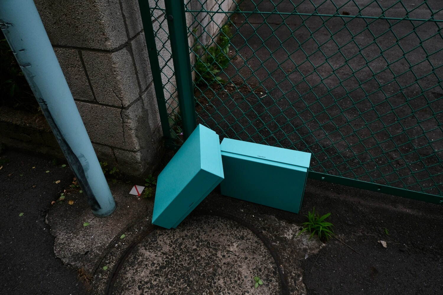 カラフル収納ボックス「イロハコ」アスファルトに咲く野花や路地裏ネオンなど“日常風景”に着想｜写真21