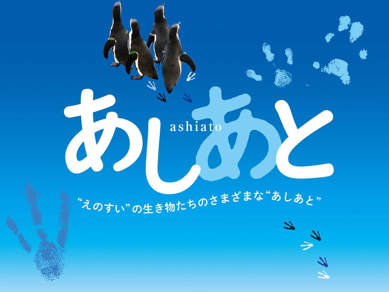 新江ノ島水族館のバレンタイン限定イベント「恋する“えのすい”」クラゲ水槽で“ハート”の映像演出｜写真13