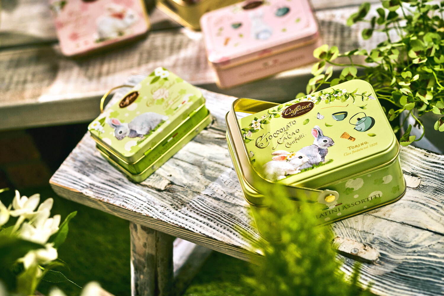 カファレル“子ウサギたちのお茶会”イメージの春カラー缶、抹茶チョコレートをアソート｜写真5