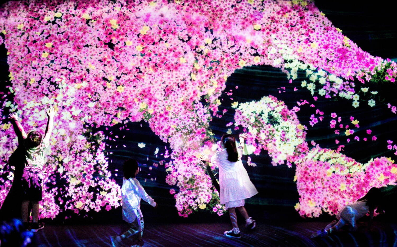 福岡「チームラボフォレスト」桜の花でできた“生きる”動物、春の色彩の群蝶など春季限定の作品を公開｜写真2