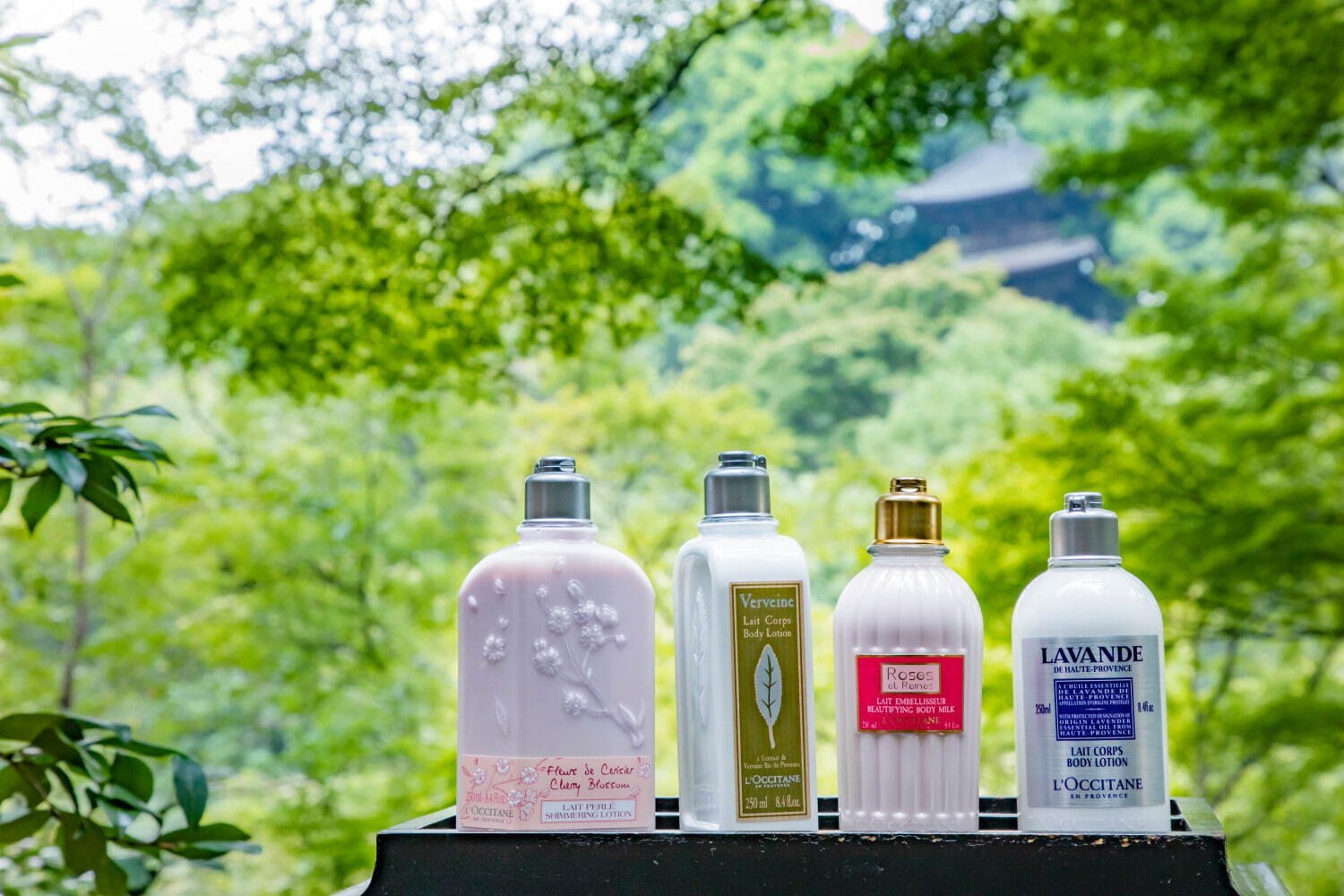 ロクシタン(L'OCCITANE) チェリーブロッサム｜写真6