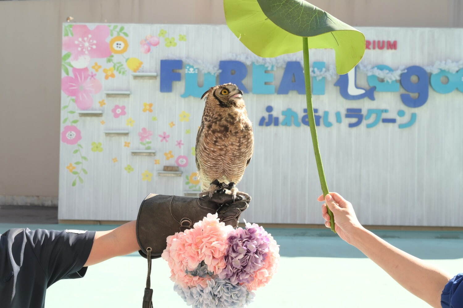 横浜・八景島シーパラダイス春イベント「＃はなパラ」大水槽を舞う桜色のイワシやペンギンのお花見パレード｜写真4