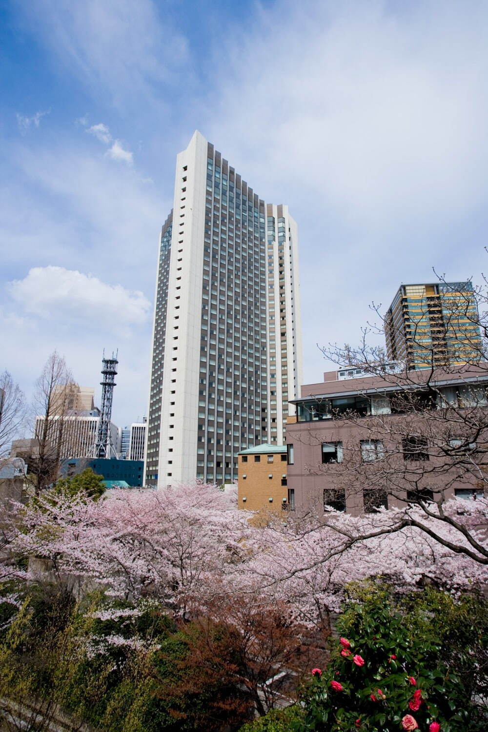 ANAインターコンチネンタルホテル東京「彩り膳＆和スイーツブッフェ〜桜〜」春食材のランチ＆ブッフェ｜写真3