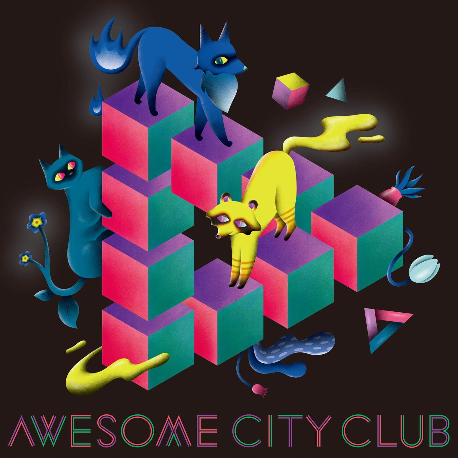 Awesome City Club ランブル 吉祥寺ルーザーズ｜写真2