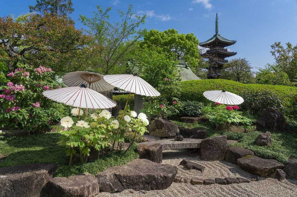 「第四十三回 上野東照宮 春のぼたん祭」希少品種含む、110種500株以上のボタンが苑内を彩る｜写真8