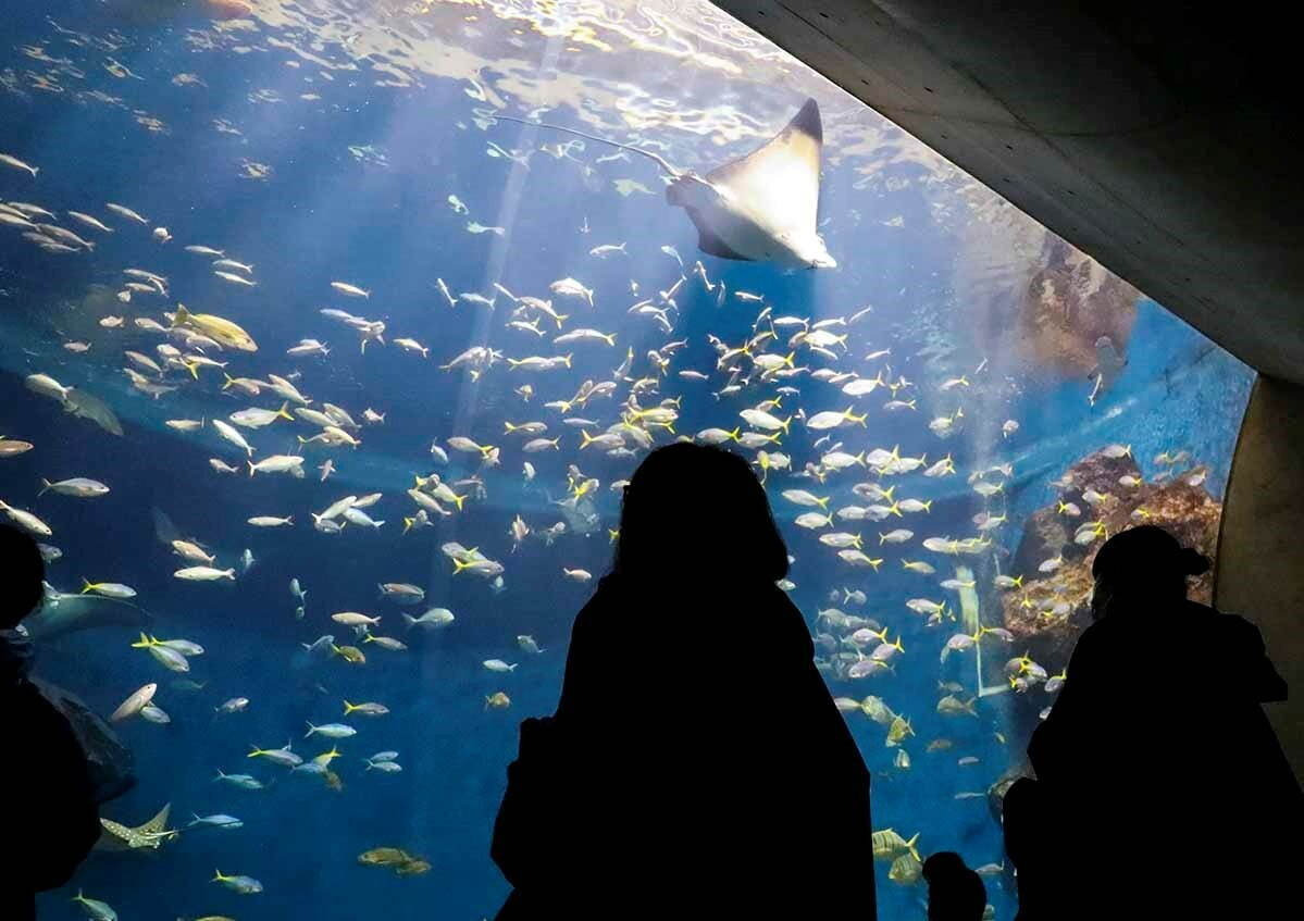 「ゴールデンウィーク」おでかけイベント2022年、グルメフェス＆お花見など人気観光地のGWイベント｜写真19