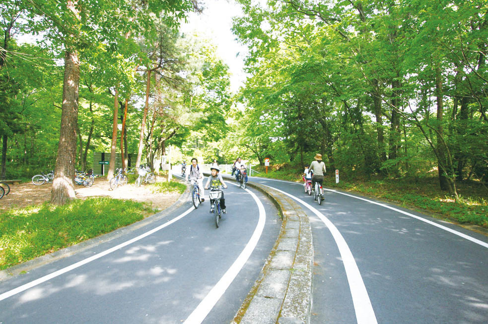 埼玉・国営武蔵丘陵森林公園、ビタミンカラーの「アイスランドポピー」が約70万本咲く花畑｜写真10