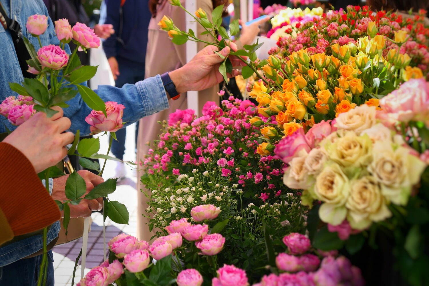 薔薇イベント「ローズ フェスティバル」青山ファーマーズマーケットで、プロによる花器の提案も｜写真1