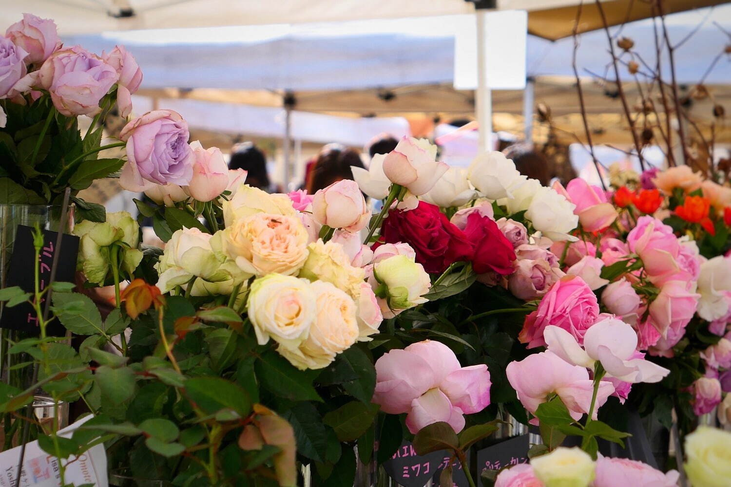 薔薇イベント「ローズ フェスティバル」青山ファーマーズマーケットで、プロによる花器の提案も｜写真9