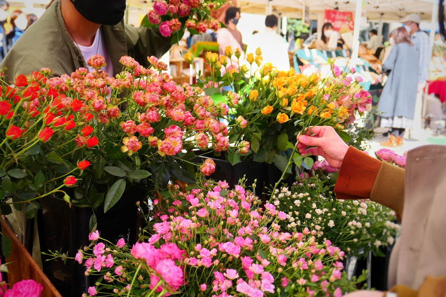 薔薇イベント「ローズ フェスティバル」青山ファーマーズマーケットで、プロによる花器の提案も｜写真15