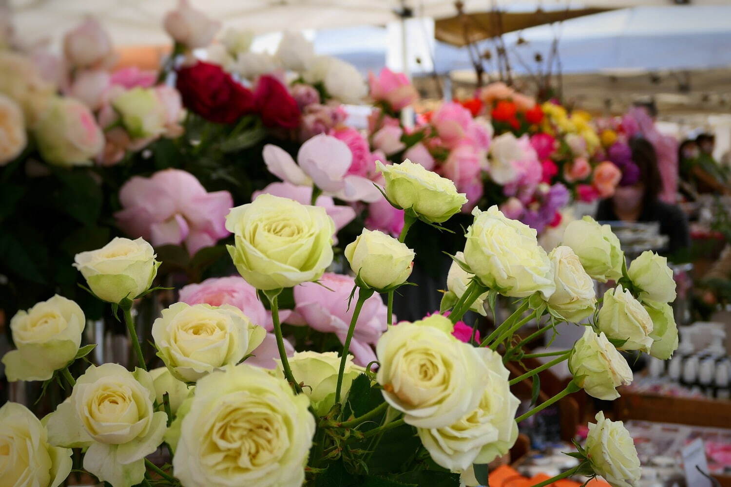 薔薇イベント「ローズ フェスティバル」青山ファーマーズマーケットで、プロによる花器の提案も｜写真11