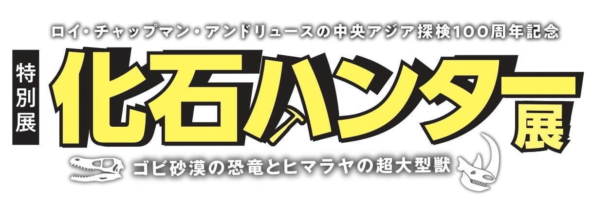 特別展「化石ハンター展」国立科学博物館で - ゴビ砂漠など発掘の旅を辿る、恐竜＆大型獣の標本など｜写真4