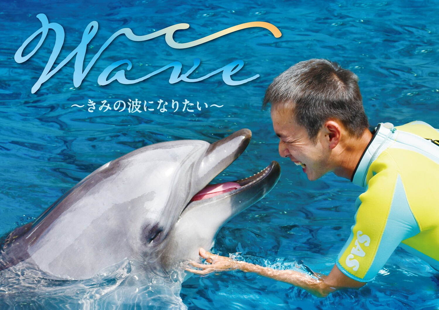 新江ノ島水族館の新イルカショー Wave きみの波になりたい えのすい人気ショーがリニューアル ファッションプレス