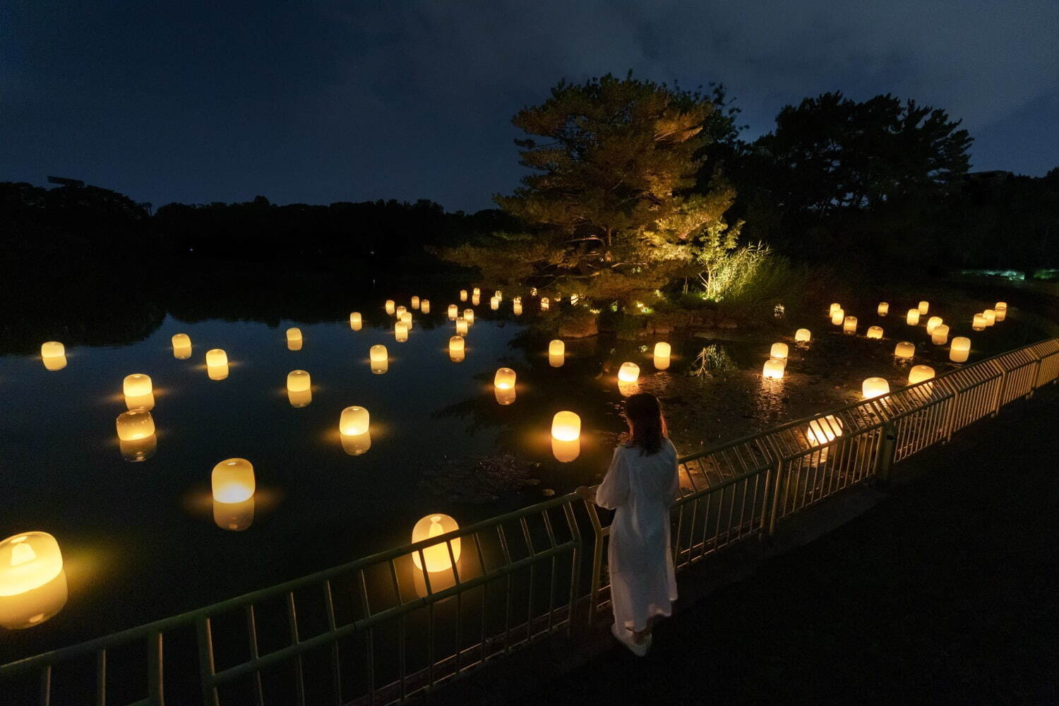 チームラボ ボタニカルガーデン 大阪 大阪 長居植物園が夜間限定でアート空間に変貌 ファッションプレス