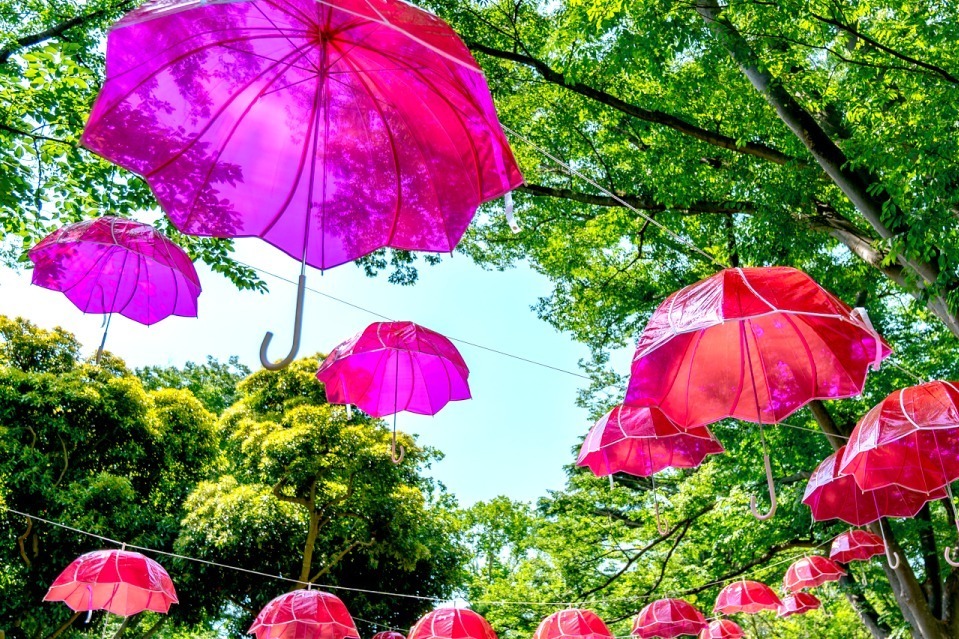 傘の森」千葉公園に出現、Wpc.“蓮の花”のような傘＆シャイニー
