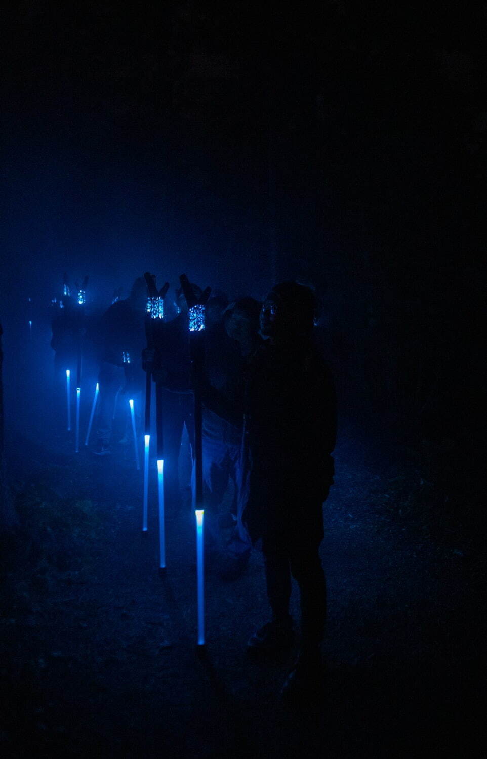 「阿寒湖の森ナイトウォーク カムイルミナ」北海道の大自然×デジタルアートを夜散歩、動物と巡る冒険物語｜写真6