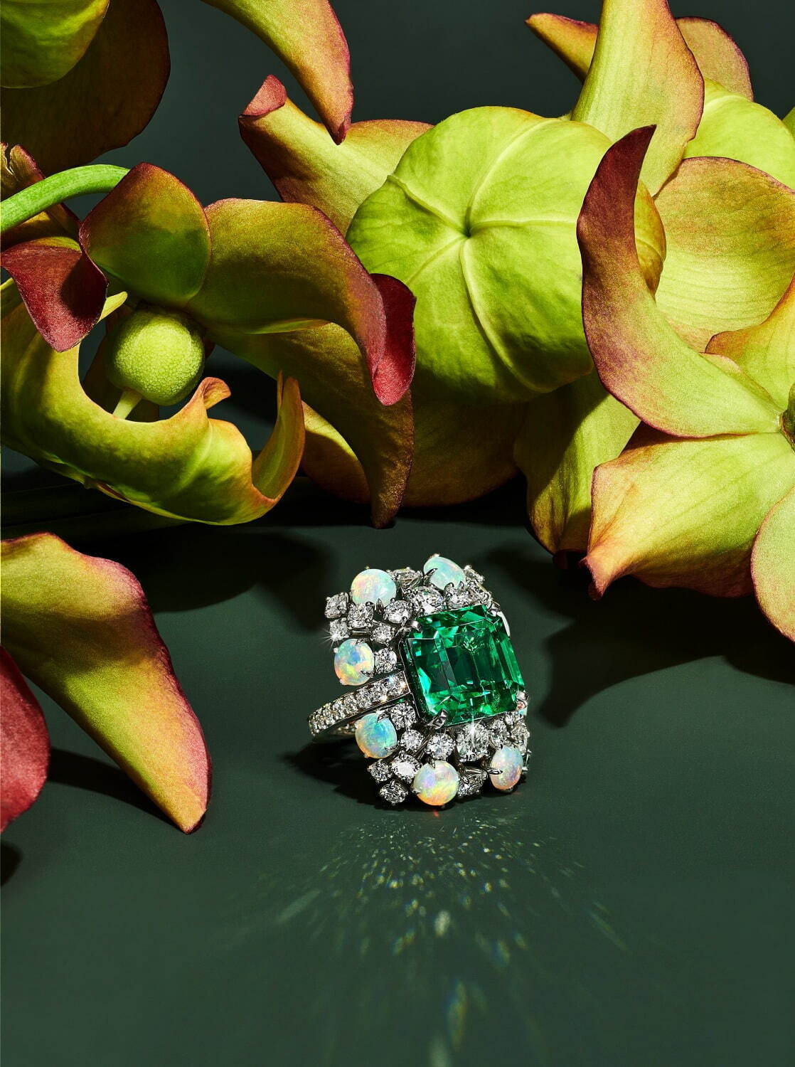 ティファニー“花々”の新作ハイジュエリー、ダイヤモンドの“小花”を飾っ