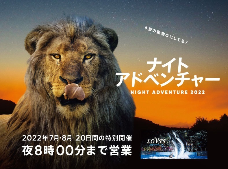 和歌山・アドベンチャーワールドで夜間特別営業、夜の動物たちに迫るナイトサファリツアー｜写真1