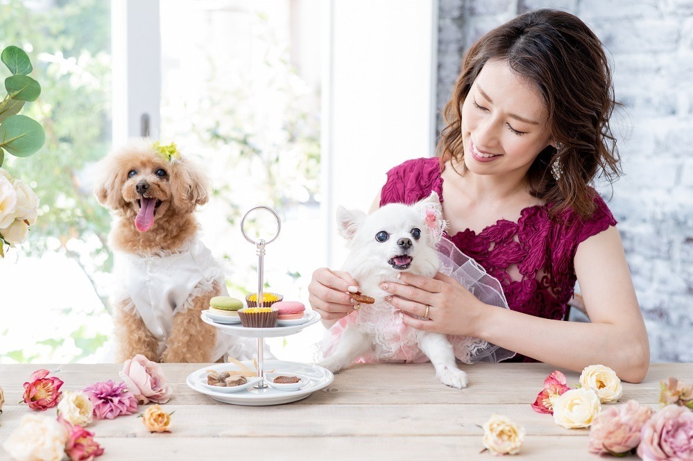 「犬用オーダーメイドドレス」が南青山・人気ドレスサロンから、花嫁と同じ高級生地＆ロングスカートで｜写真1