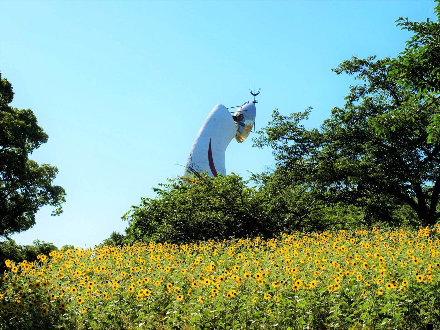 大阪 万博記念公園 ひまわりフェスタ 約1万2千本が咲き誇る 絶景 スポット キッチンカーも ファッションプレス