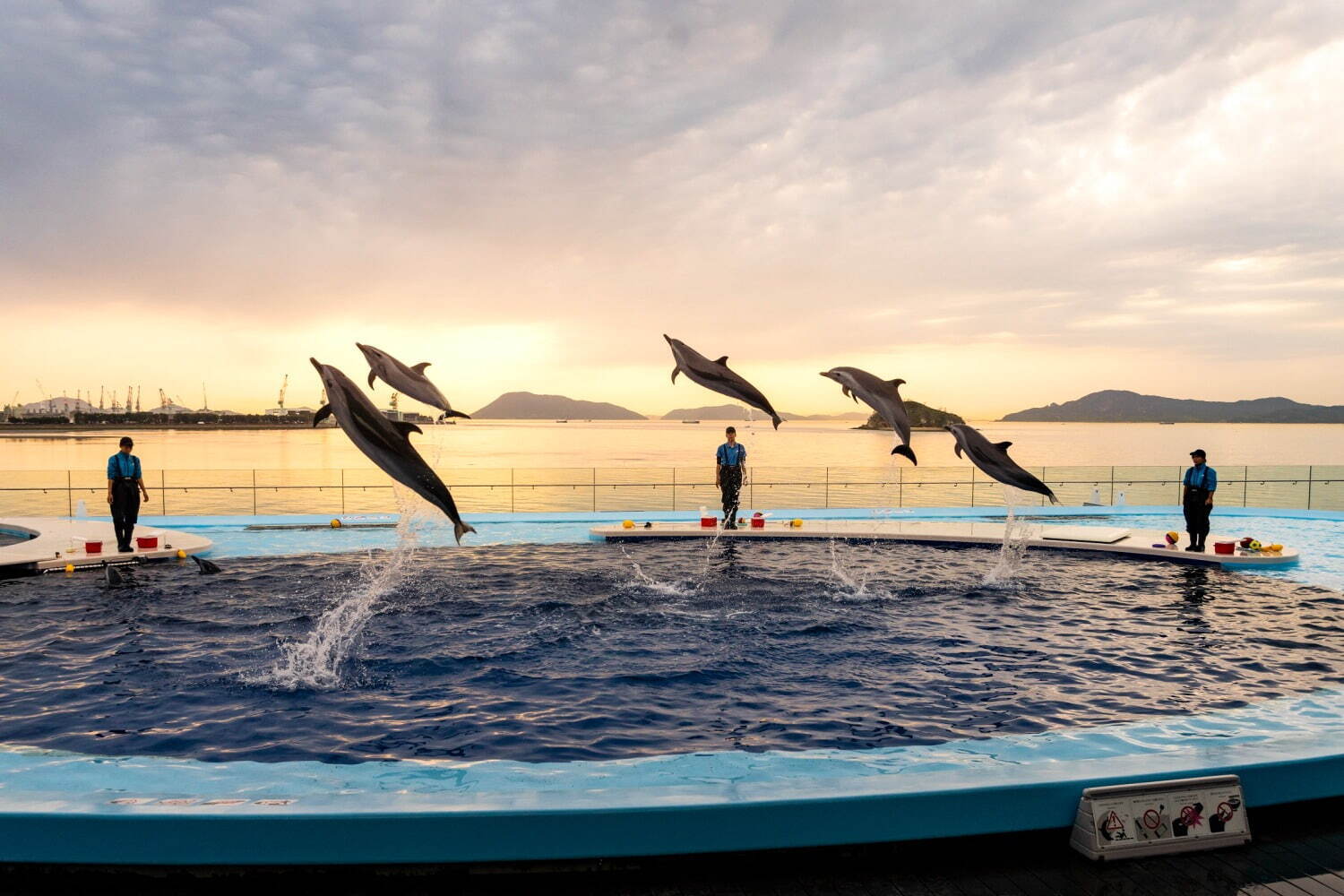 香川・四国水族館”幻想的な夜の水族館”イベント、夕日背景のイルカ