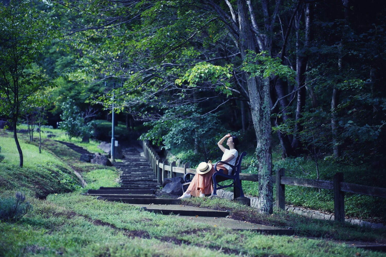 神戸布引ハーブ園／ロープウェイ「ひまわり畑」夏のひまわり＆爽やかに香るレモングラスなど見頃に｜写真15