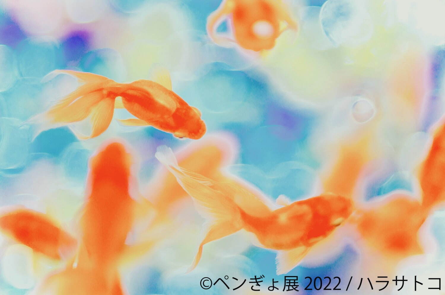 「ペンぎょ展 2022」”ペンギン＆金魚”主役の写真展が福岡初上陸、限定グッズも｜写真2