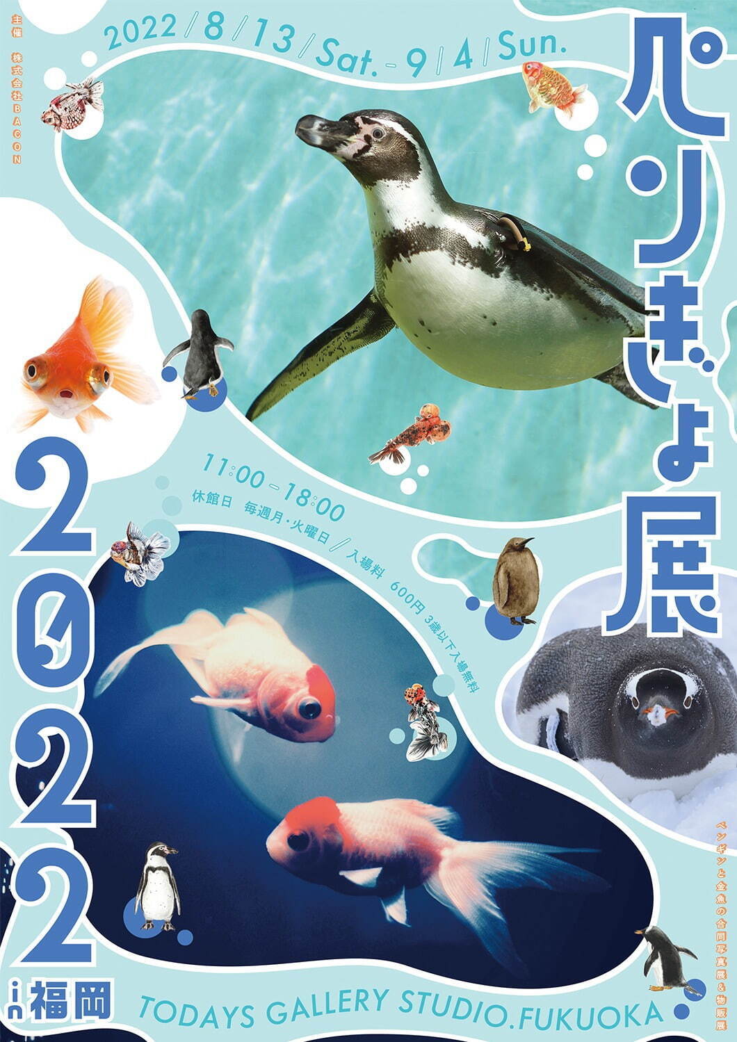 「ペンぎょ展 2022」”ペンギン＆金魚”主役の写真展が福岡初上陸、限定グッズも｜写真19