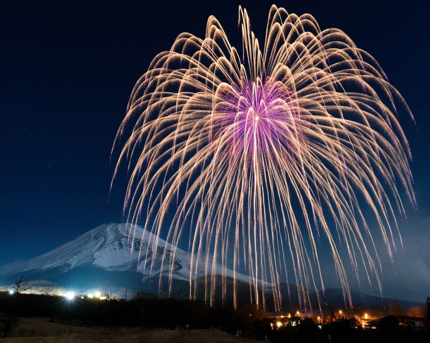 野村花火工業 花火イメージ