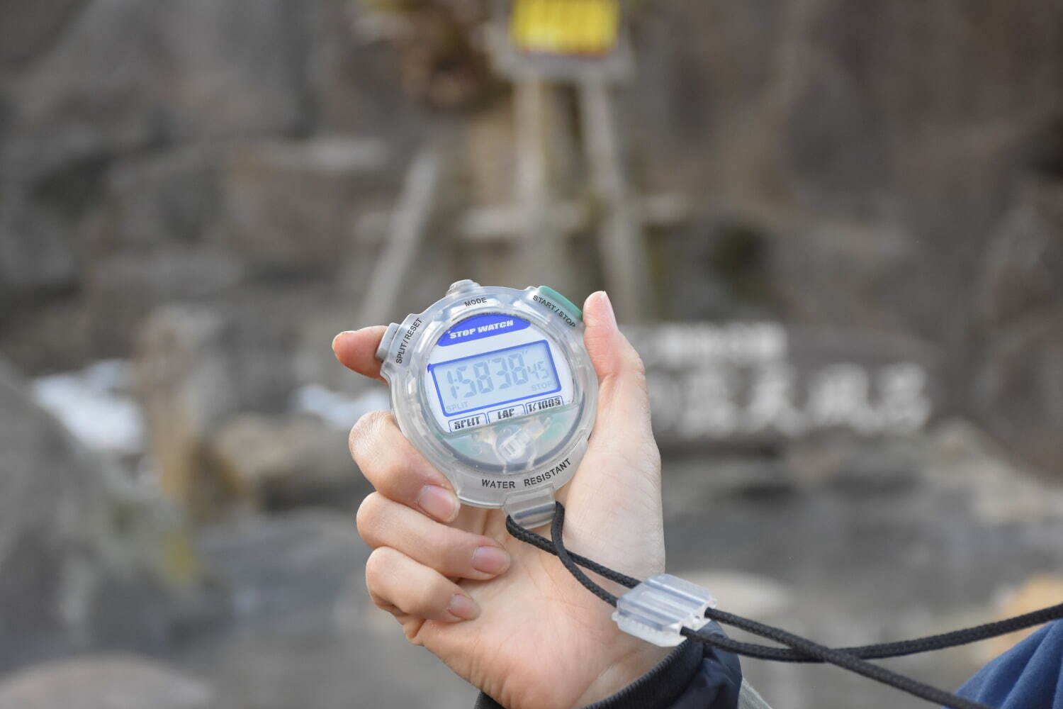 「元祖カピバラの露天風呂」伊豆シャボテン動物公園で、“風呂好きカピバラ”40周年記念グッズも｜写真5