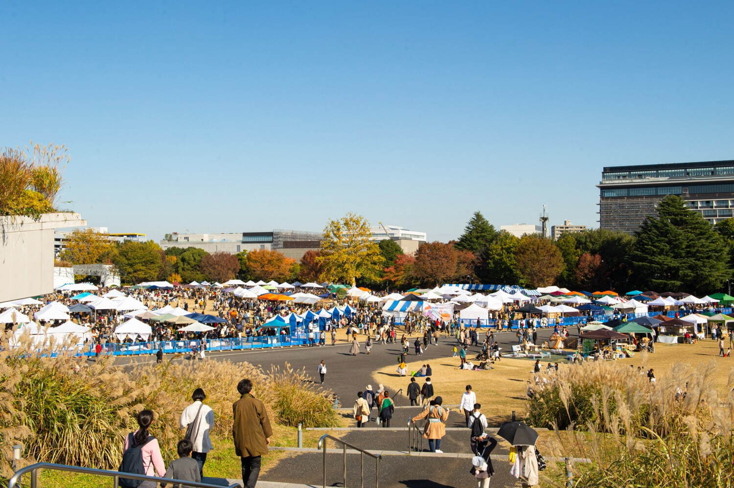 「第18回東京蚤の市」立川・国営昭和記念公園にアンティーク＆ヴィンテージが集結、グルメやライブも｜写真12