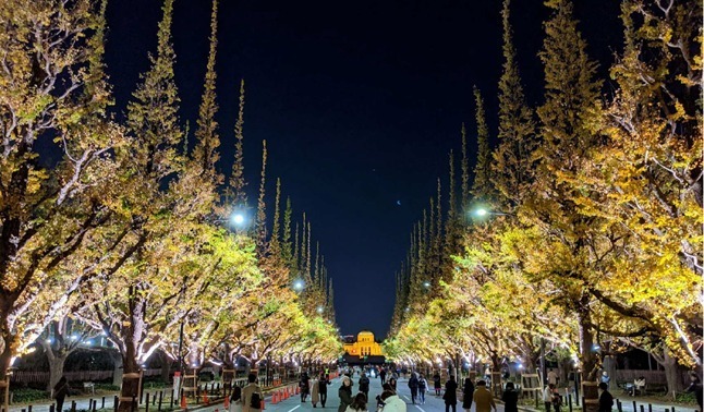 東京・神宮外苑イチョウ並木をライトアップ、紅葉シーズンに合わせて 