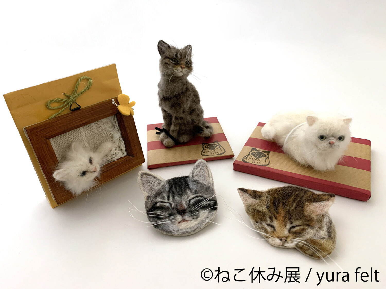 ねこの合同写真展＆物販展「ねこ休み展 冬 2022」福岡で、スター猫新作＆限定グッズ販売も｜写真14