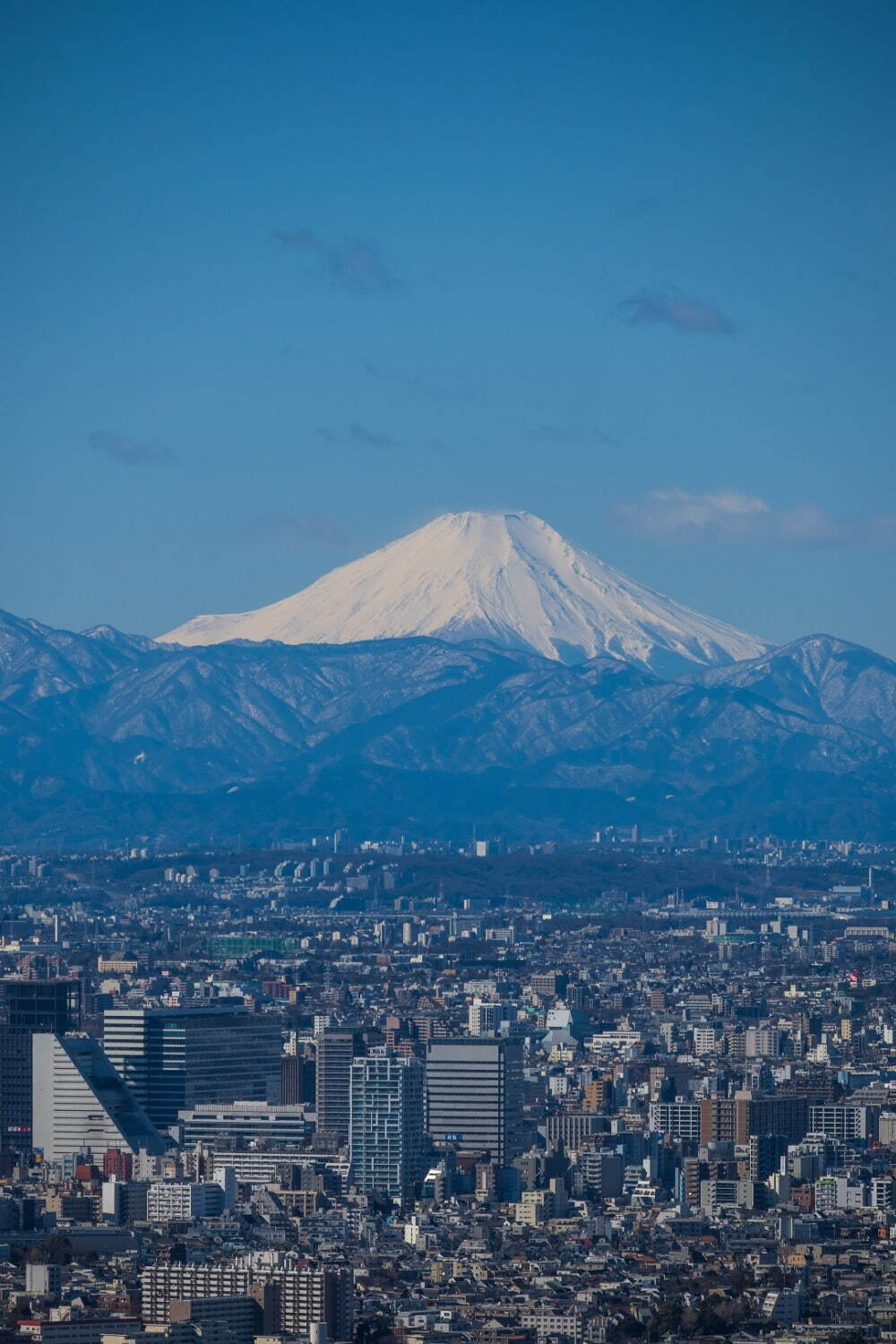 池袋サンシャインシティの展望台が「てんぼうパーク」にリニューアル、開放感あふれる空の公園｜写真6